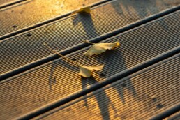 PVC decking solutions wilmington nc